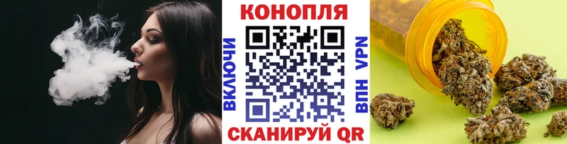 Купить закладки  Городовиковск  Марихуана сатива 